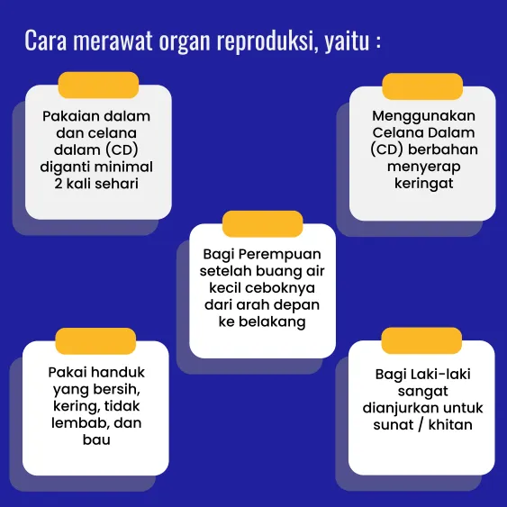 Menjaga Kesehtatan Reproduksi image